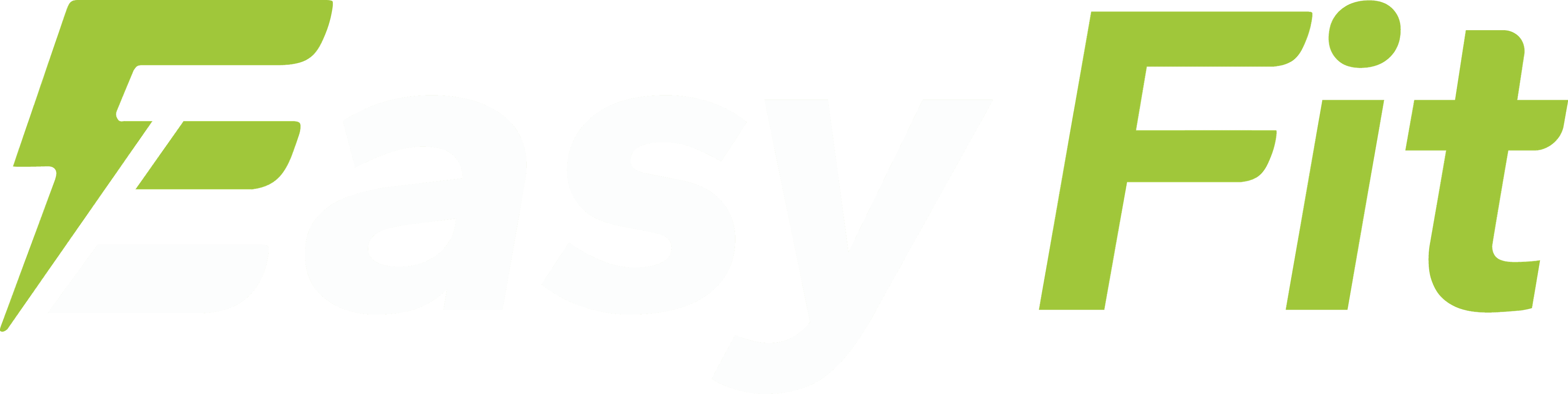 Easy Fit logo